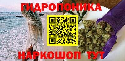 apvp Свободный