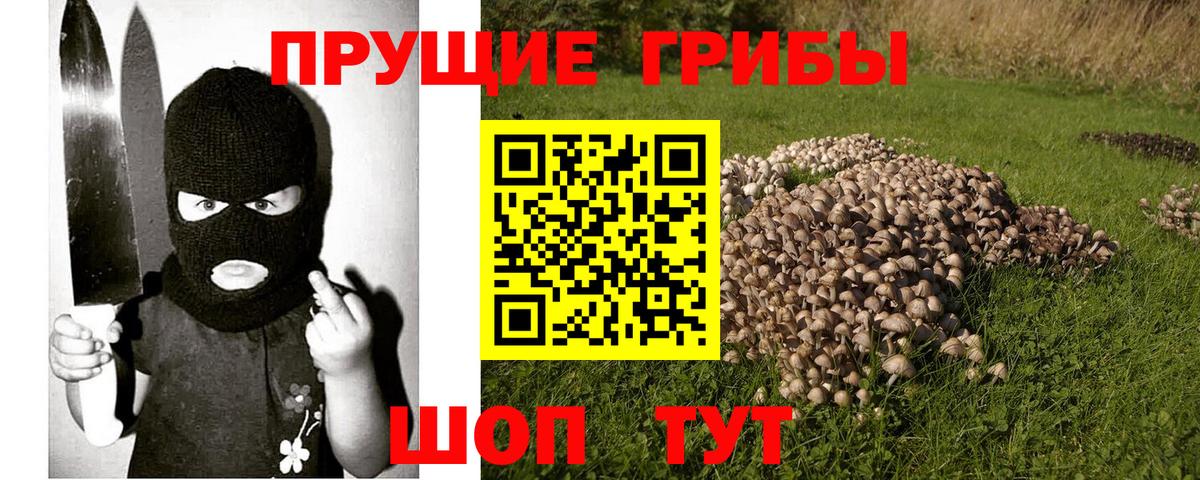 Галлюциногенные грибы прущие грибы Мегион
