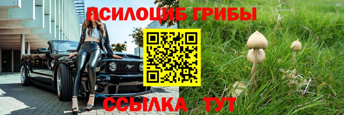 Псилоцибиновые грибы Magic Shrooms  Вход с VPN  Мегион 