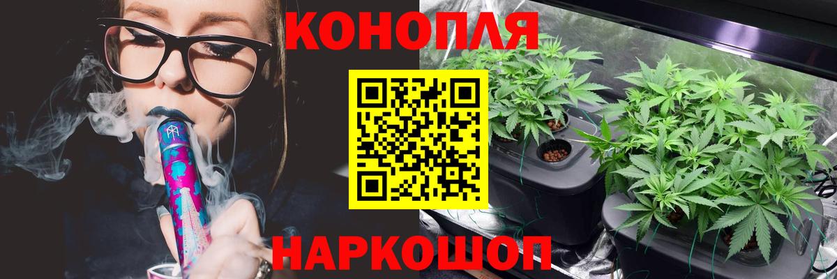 Бошки марихуана гибрид Мегион